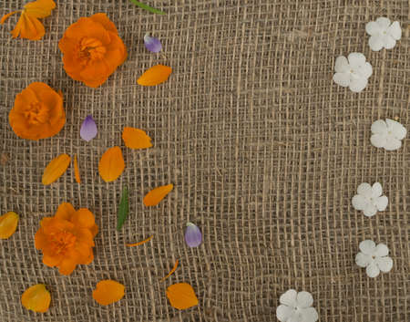 Orange petals of globe flowers or trollius europaeus on brown burlap background with blank space for text top view and flat layの写真素材