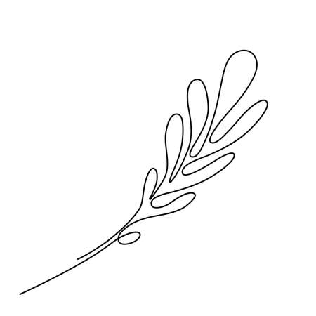 One Line Drawing Bay Leaf Twig. Minimal One Line Drawing Palm Tree leaf in Sketch Art Style, Continuous Line Draw, Tropical Illustrationのイラスト素材
