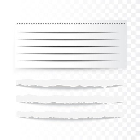 Torn paper strips. Ripped paper edges, broken white cardboard on transparent background. Realistic vector illustrationのイラスト素材