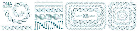 Human dna chain or genome helix isolated. Vector illustration of structural dna molecule seamless line and spiralのイラスト素材