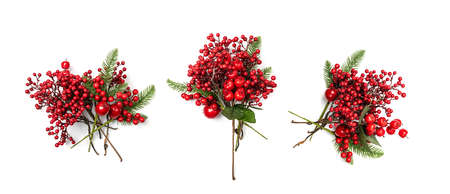 Christmas branch with red berries. Artificial home decoration plant, rowan, ashberry or kalina twig isolated on white backgroundの写真素材