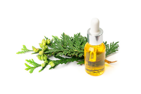 Cypress oil isolated. Cupressus essence, cedrus infusion, thuja essential oil, thuya extraction, juniper tincture, arborvitae serum on white backgroundの写真素材