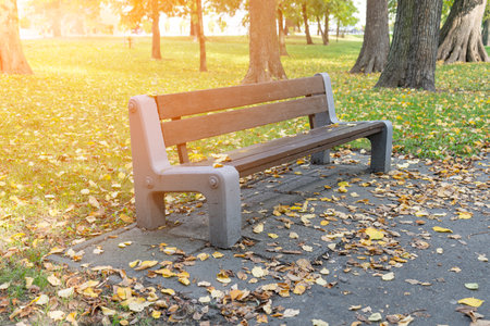 Old wooden bench in autumn park. Outdoor city architecture, wooden benches, outdoor chair, urban...
