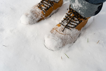 Winter Boots in Snow, Warm Winter Shoes, Waterproof Surface, Hiking Footwear, Brown Winter Boots Top...