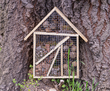 New Insect House, Bug Hotel, Insect Winter Shelter, Wildlife Protection Concept, Wooden Insects Shelterの写真素材