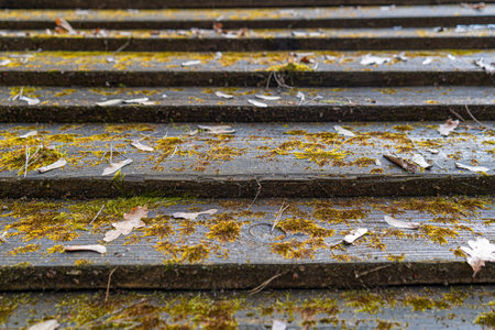 Old Stairs, Ancient Wooden Staircase with Moss, Old Empty Street Stairway Closeup, Fantasy Wood Walkway Stairsの写真素材
