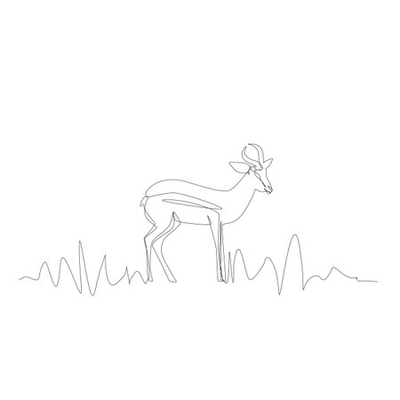 Continuous Thin Line Antelope, Minimalist Impala Drawing, One Line Art Antilopa, Single Gazelle Outline Drawing, Simple Springbok Logo, Safari Concept, Antelope Vector Illustrationのイラスト素材