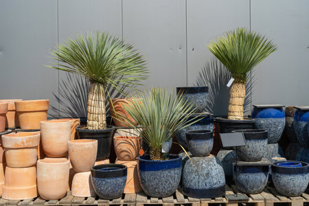 Color Flower Pots, Flowerpot Pattern, New Ceramic Pottery, Various Clay Handicraft, Garden Vase Design, Handmade Decorative Flower Pots Sellの写真素材