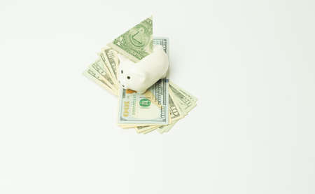 Finance, saving money, white piggy bank on seamless white background. Isolated