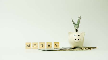 Finance, saving money, white piggy bank on seamless white background. Isolated
