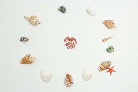 colorful round frame of sea shells flat lay isolated on white background with one shell in center....