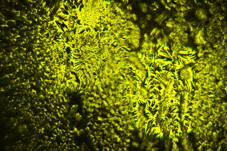 weird abstract backlit ice patterns on frozen glass with bizarre lines, curves, cracks, spots....