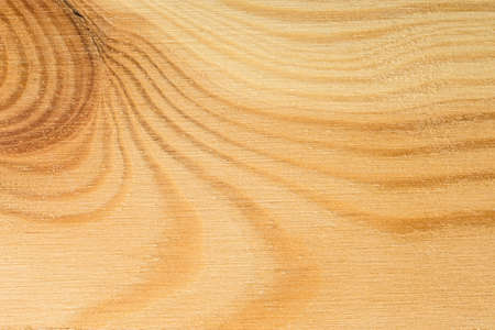 Pine tree texture. Wood background, light natural patternの写真素材