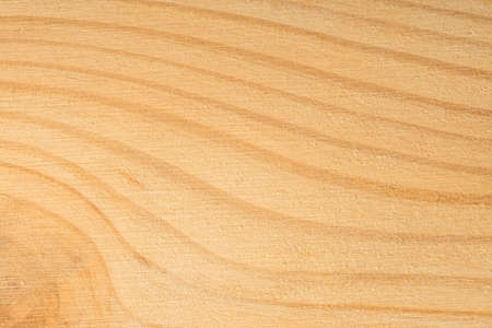 Pine tree texture. Wood background, light natural patternの写真素材