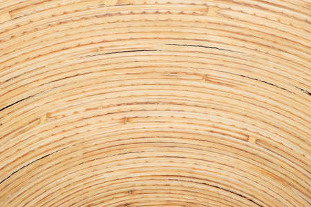 Bamboo texture background, arched patternの写真素材
