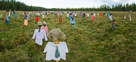Many scarecrows in the field. Panorama of scarecrow.の写真素材