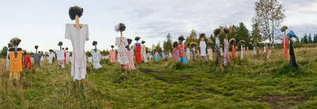 Many scarecrows in the field. Panorama of scarecrow.の写真素材