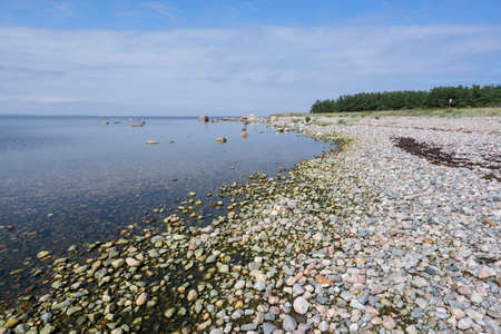 Rocky beach in summer. Seaside natural environment. White clouds, blue sky and sea, coast, forest in background. Shore in Koipsi Island, Estonia, Europeの写真素材