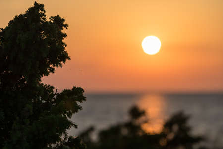 Juniper and Sunset on the beach, peaceful sea, orange sky. Kihnu, small island in Estonia. Baltic sea, Europeの写真素材