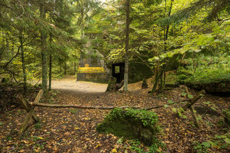 Wolf's Lair,  Adolf Hitler's Bunker in Poland. First Eastern Front military headquarters in World War II. Complex was blown up and abandoned on 1945. Autumn, chaparral grown ruins, trees, leaves.の写真素材