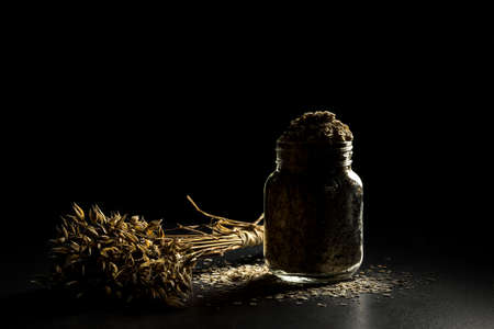 Oat bunch and flakes in flavouring jar, isolated on black background. Grain bouquet, golden oats spikelets on dark wooden table, can filled with dried grains. Food, bakery conceptの写真素材