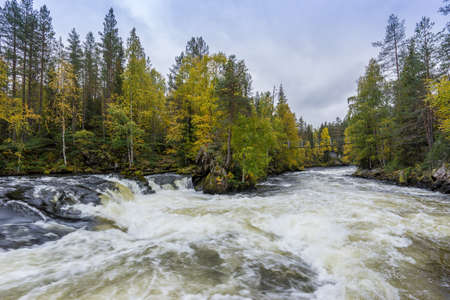 Cliff, stone wall, forest, waterfall and wild river view in autumn. Fall colors - ruska time in Myllykoski. One part of Karhunkierros Trail. Oulanka National Park in north Finland. Lapland, Europeの写真素材