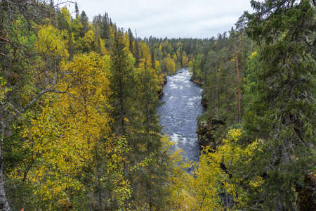 Cliff, stone wall, forest, waterfall and wild river view in autumn. Fall colors - ruska time in Myllykoski. One part of Karhunkierros Trail. Oulanka National Park in north Finland. Lapland, Europeの写真素材