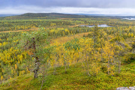 Mountains, forests, lakes view in autumn. Fall colors - ruska time in Konttainen. One part of Karhunkierros Trail. National park in Finland. Lapland, Nordic countries in Europeの写真素材