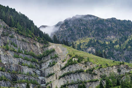 Mountains, peaks, lake, everlasting ice and trees landscape. Kaunertaler Gletscher natural environment. Hiking in the alps, Kaunertal, Tirol, Austria, Europeの写真素材