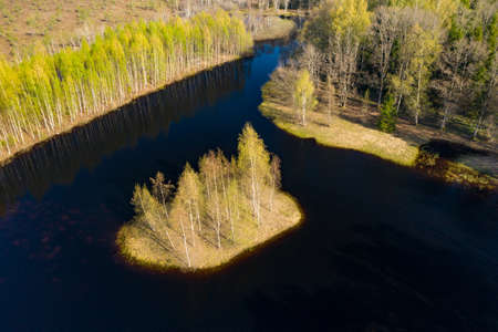Island in the bog, golden marsh, lakes and nature environment. Sundown evening light in springの写真素材