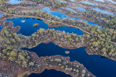 Sunset in the bog, golden marsh, lakes and nature environment. Sundown evening light in spring