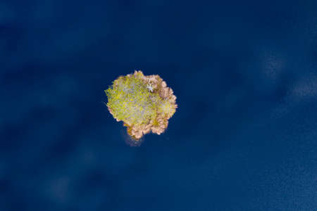 Island in the bog, golden marsh, lakes and nature environment. Sundown evening light in springの写真素材