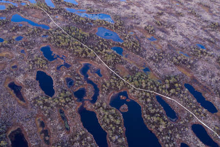 Sunset in the bog, golden marsh, lakes and nature environment. Sundown evening light in springの写真素材