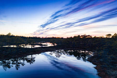 Sunset in the bog, golden marsh, lakes and nature environment. Sundown evening light in spring