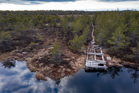 Sunset in the bog, golden marsh, lakes and nature environment. Sundown evening light in springの写真素材