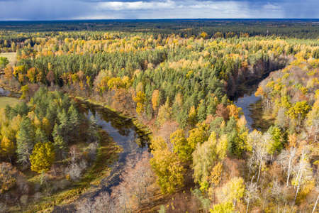 Forest in autumn colors. Colored trees and a meandering blue river. Red, yellow, orange, green...