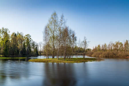 Island in the bog, golden marsh, lakes and nature environment. Sundown evening light in springの写真素材
