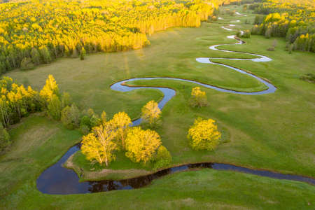 Forest in summer colors. Green deciduous trees and winding blue river in sunset. Mulgi meadow, Estonia, Europeの写真素材