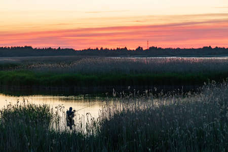 Evening sunlight on coast, pink clouds, blue sky reflection on water. Beach in summer. Seaside natural environment. Shore in Laelatu, small island in Estonia. Nature Reserve in North Europeの写真素材