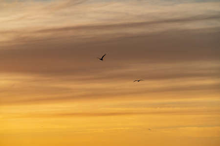 Blue sky and golden clouds. Cloudy sky natural background. Evening sunlight