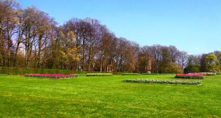 Colorful tulips in the park  Spring landscape の写真素材