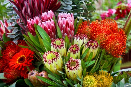 Bouquet of exotic flowers  Abstract background  Close-up の写真素材