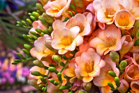Bouquet of yellow and pink flowers. Floral pattern.の写真素材