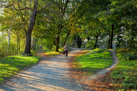 Path in the park. Summer landscape. Cycling.の写真素材