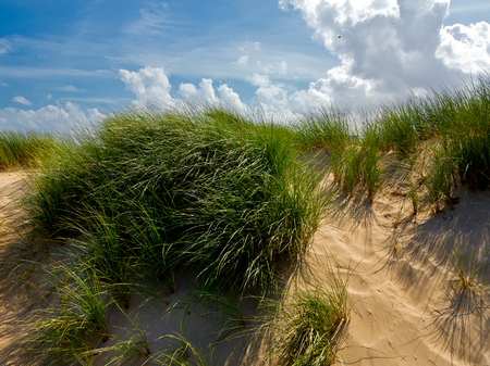 Dunes to the sea. Seascape.の写真素材