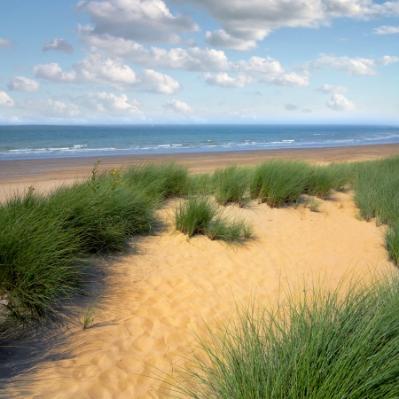 Dunes to the sea. Seascape.の写真素材