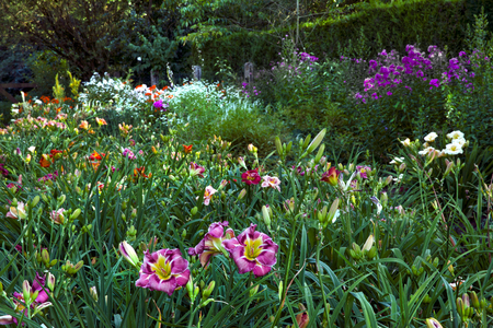 Colorful landscape formal garden. Beautiful Garden.の写真素材