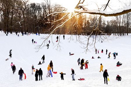 Group of children and adults playing in the snow. Park in the winter. The landscape.の写真素材