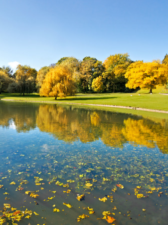 Autumn Landscape. Park in Autumn. The bright colors of autumn in the park by the lake.の写真素材