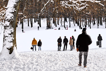 Group of children and adults playing in the snow. Park in the winter. The landscape.の写真素材